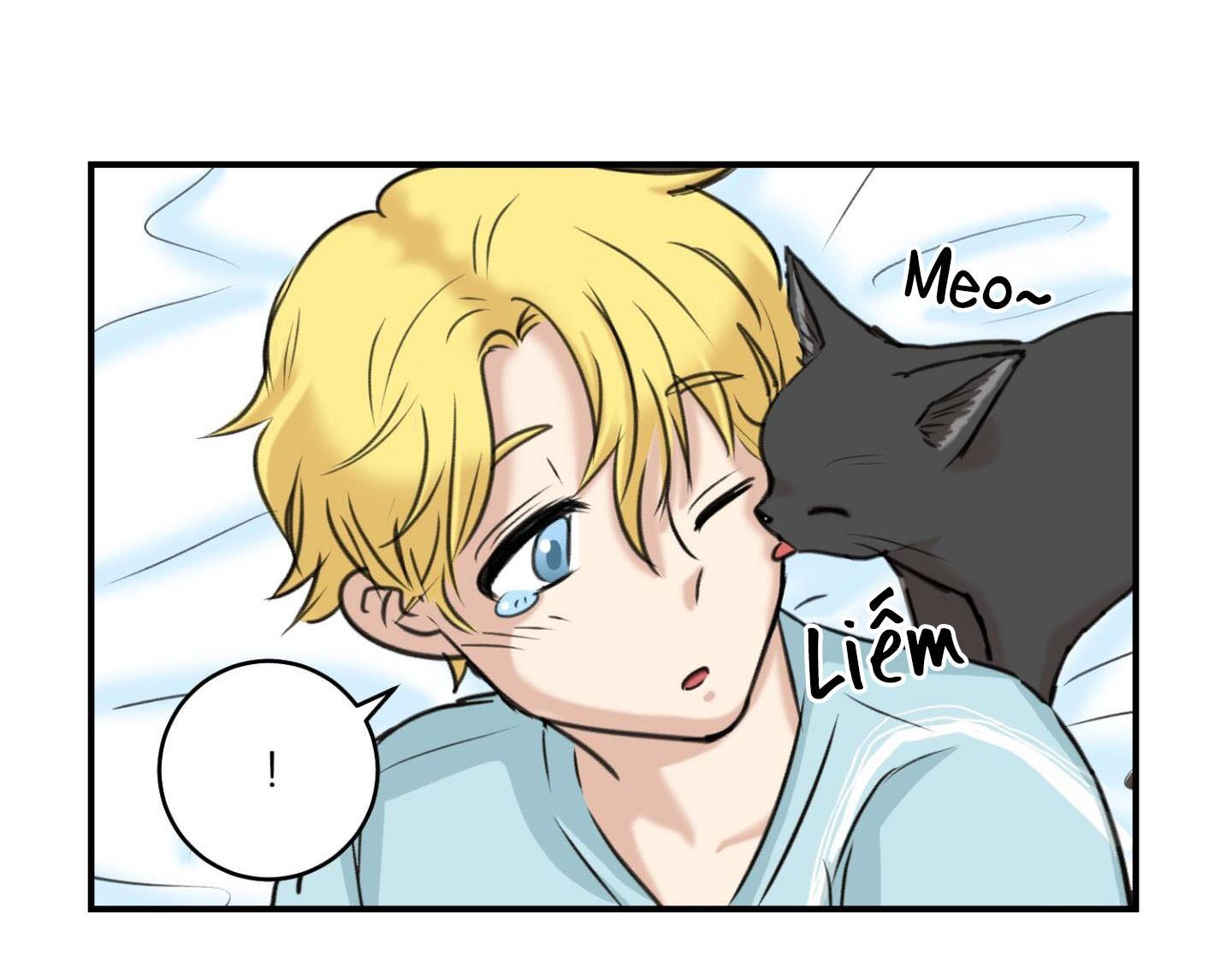 sự trả thù méo mó chapter 14 4