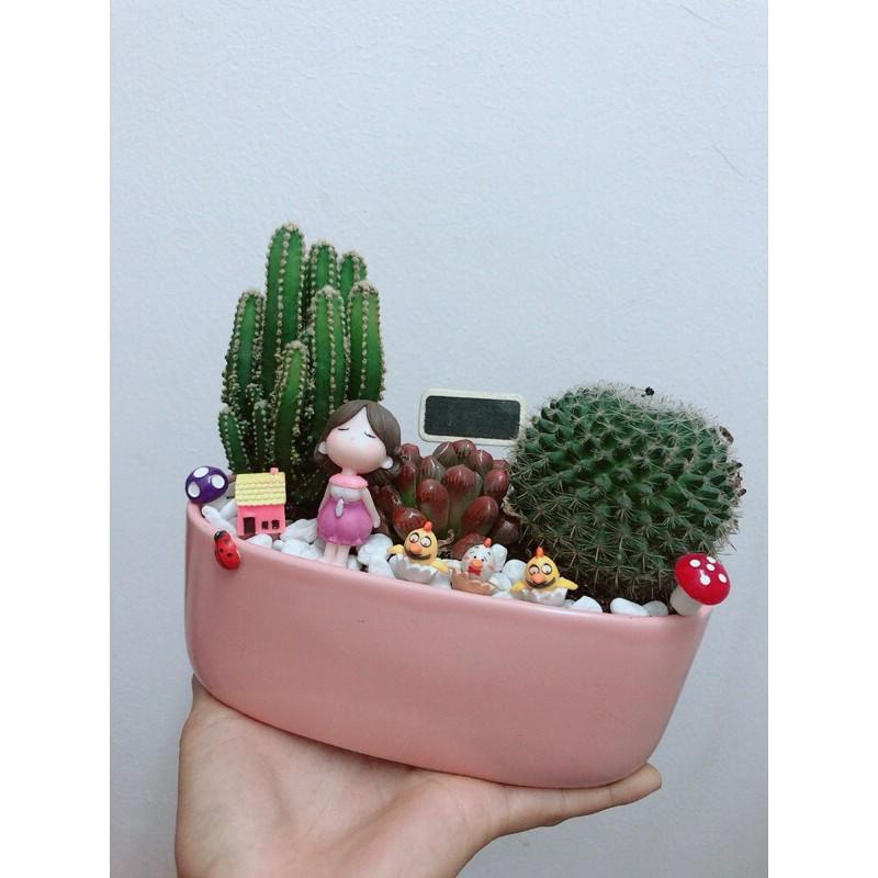 Chậu Xương Rồng Tiểu Cảnh