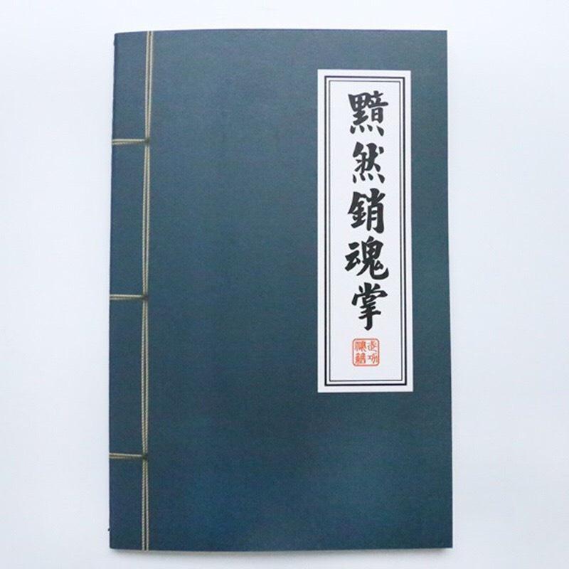 Bút lông thư pháp, Bút máy thư pháp bơm mực luyện viết tiếng trung, luyện viết chữ hán Jinbei