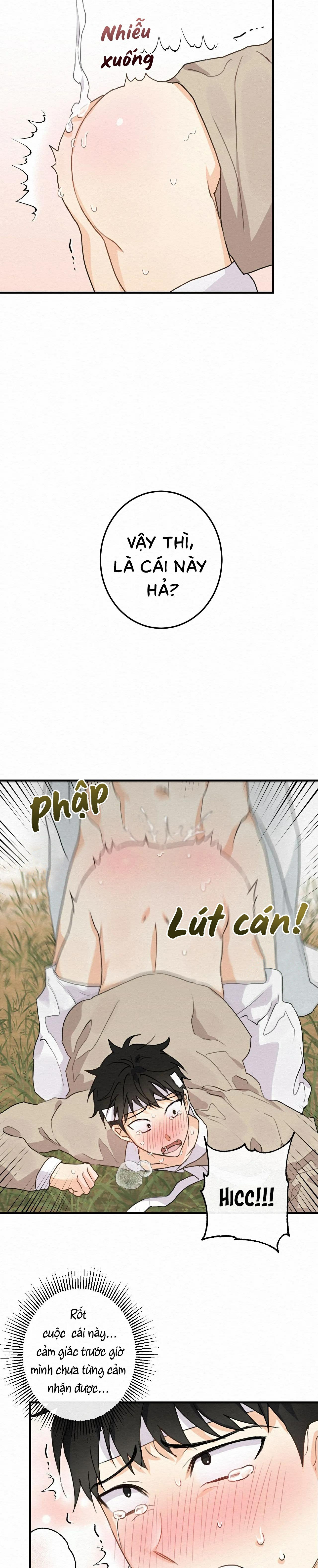 không phải đồ của tôi chapter 1 16