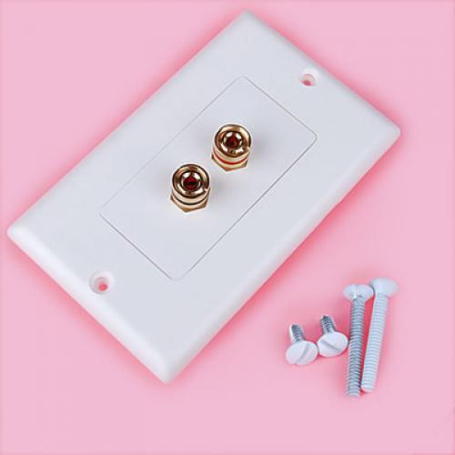 Universal Speaker Cable Wall Plate 2 Banana Plug for Home Audio Video System