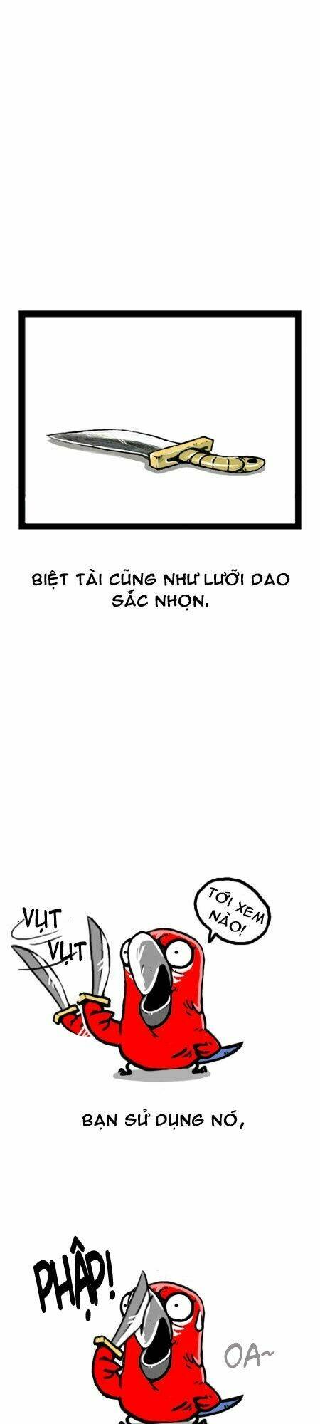 earth, human, and animal chapter 11 18