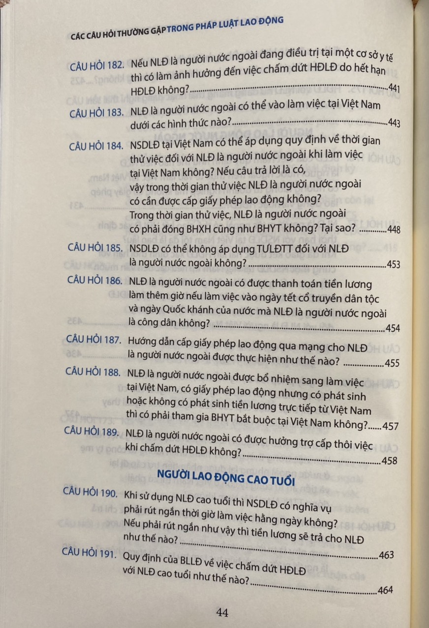 Các Câu Hỏi Thường Gặp Trong Pháp Luật Lao Động