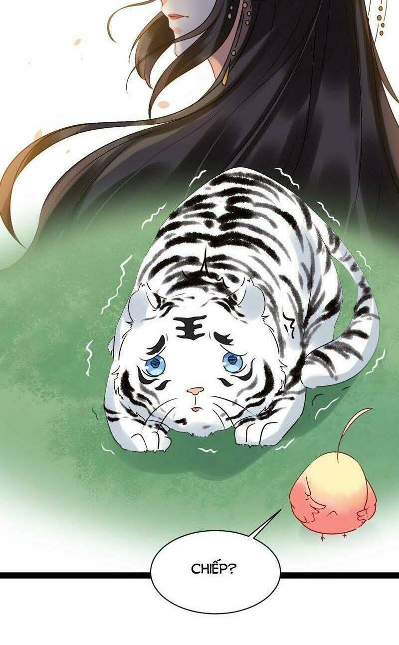 thịnh sủng kiều nữ trở về triều ca chapter 36 16