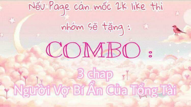 người vợ bí ẩn của tổng tài chapter 17 29