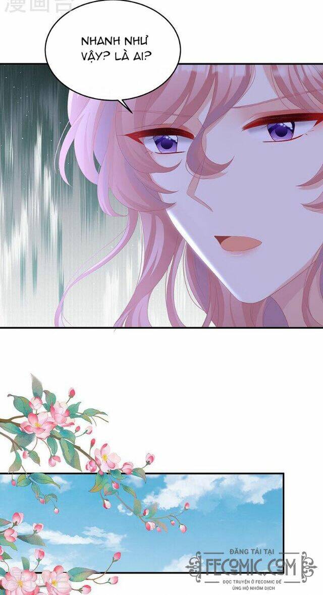 kiều phu có hỉ chapter 68 18