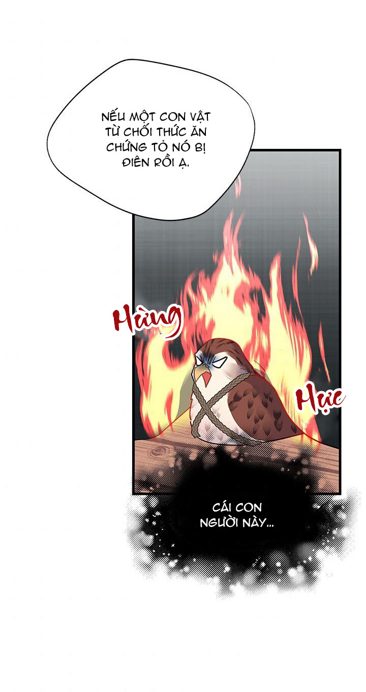 công chúa của loài chim chapter 4 34