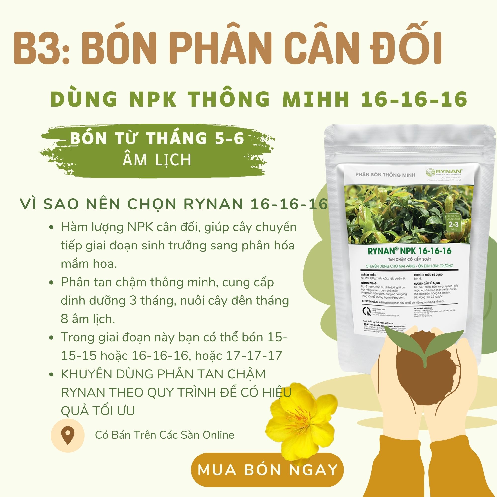 Bộ Sản Phẩm Chăm Sóc Mai Sau Tết Thông Minh