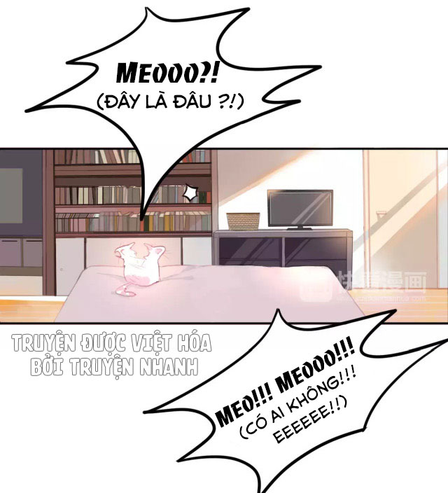 xã hội mèo chapter 1 11