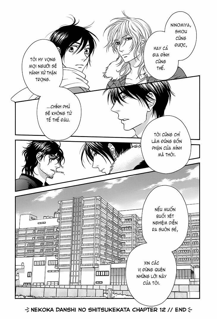 nekoka danshi no shitsukekata chapter 12 34
