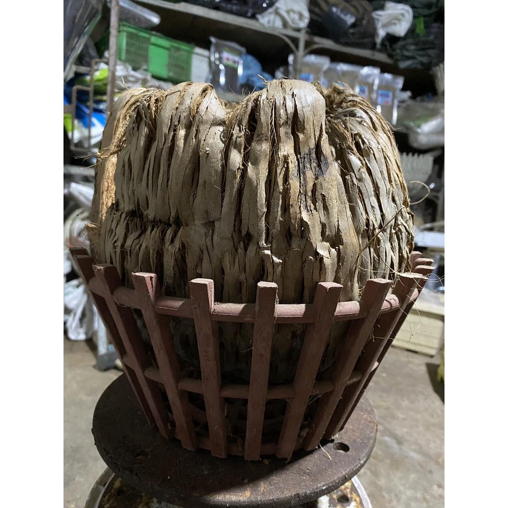 Dừa cán nguyên trái  siêu