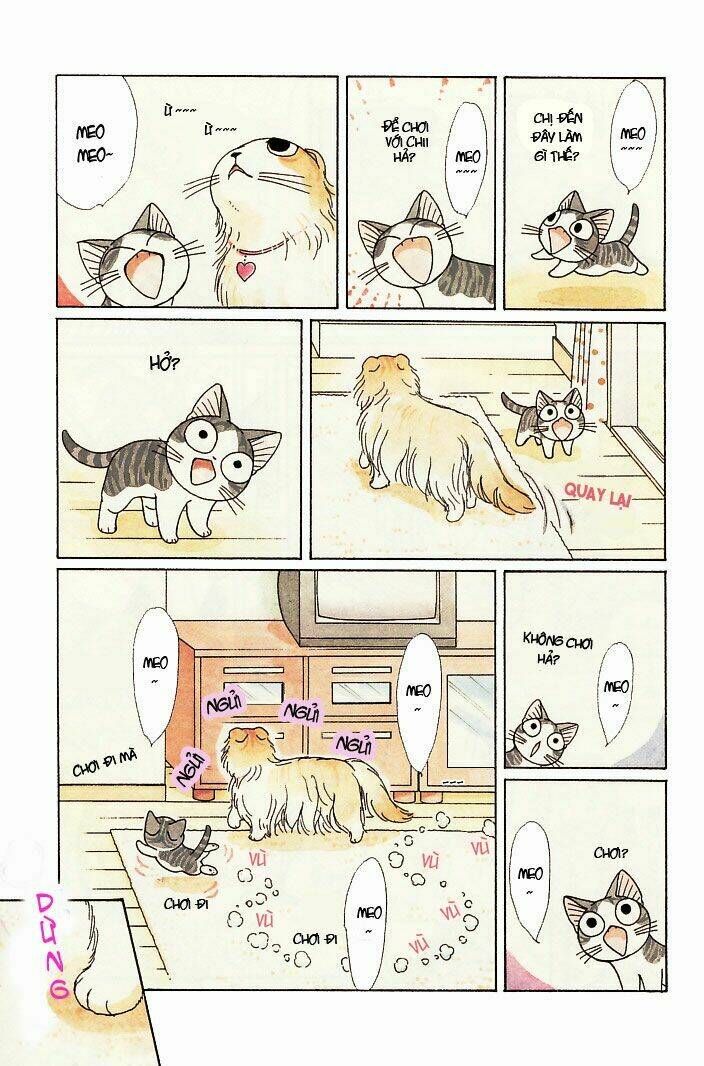 chi's sweet home chapter 75 4