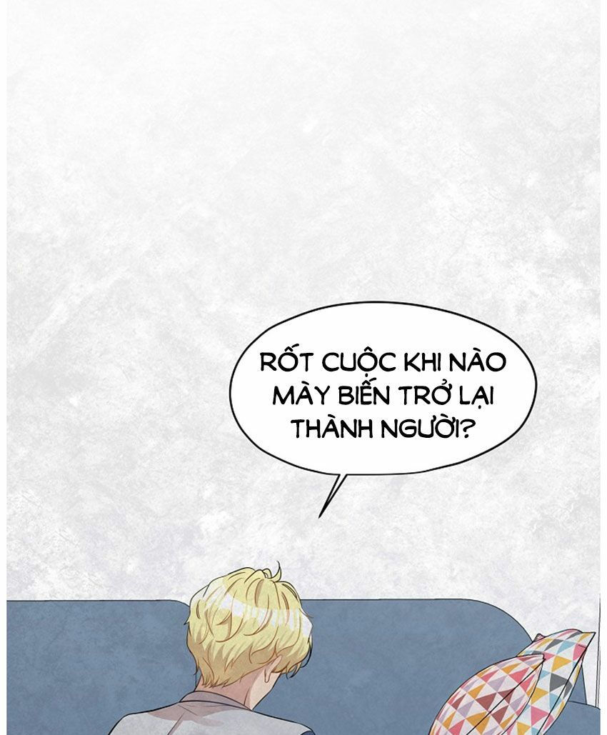 cuộc sống kỳ thú chapter 21 45