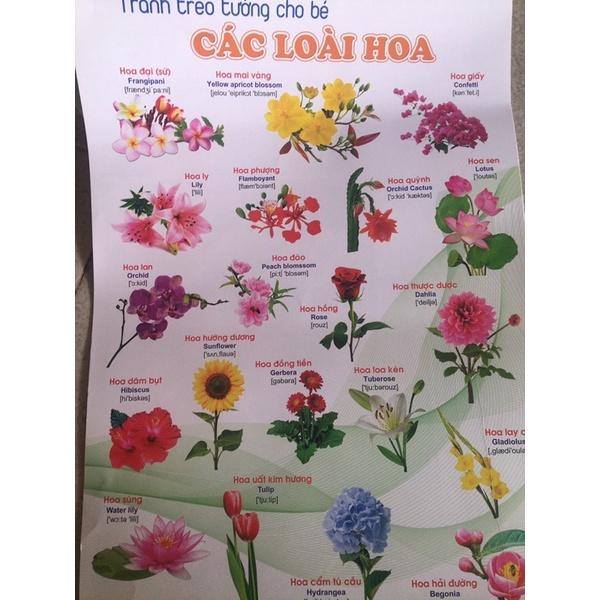 Tranh Treo Tường Nhiều Chủ Đề Giúp Bé Nhận Biết Thới Giới Xung Quanh - AZT5245