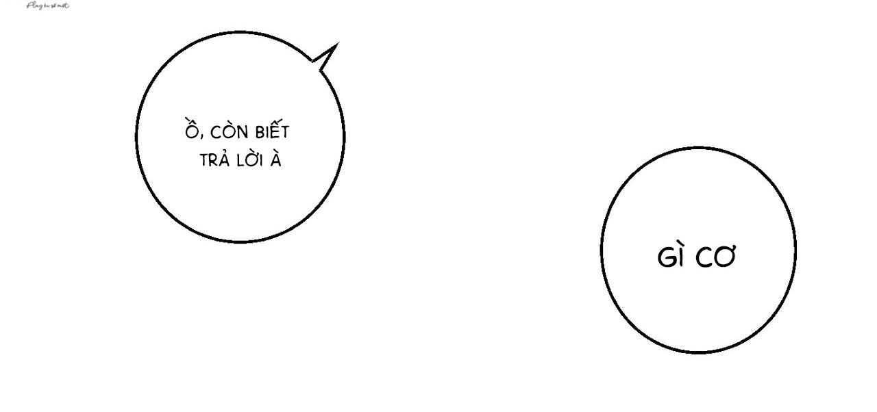 nuốt gọn trời đêm chapter 6 87