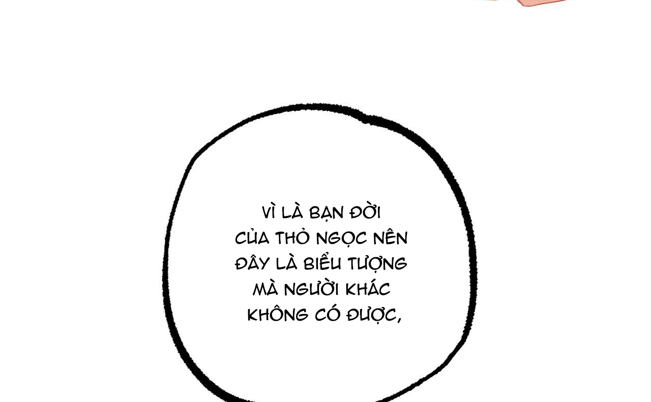 đàn thỏ của habibi chapter 46 220