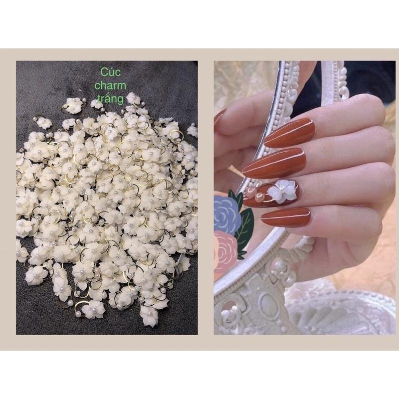 Hoa cúc charm trắng