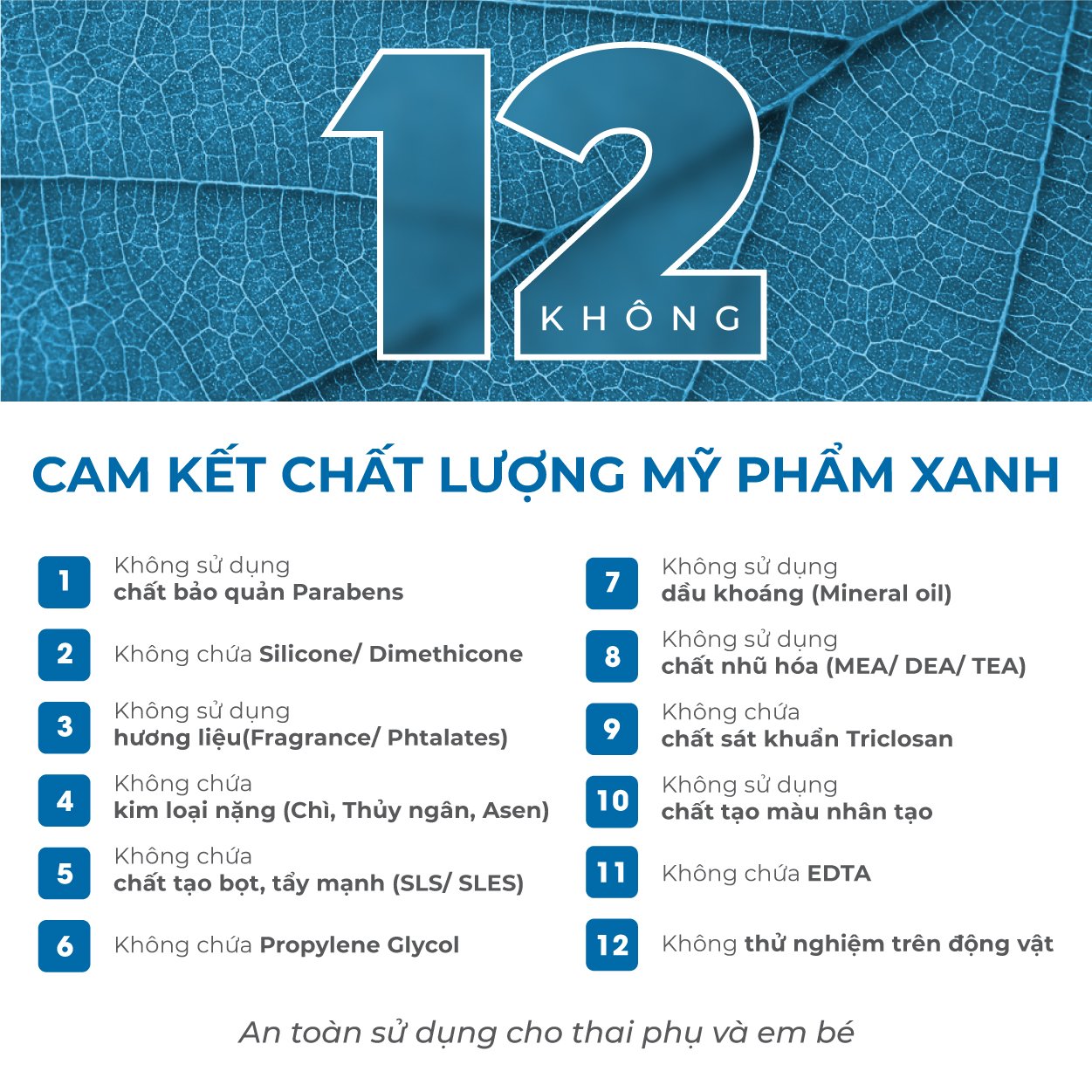 Kem Nước Phục Hồi Xương Rồng Heebee Việt Nam