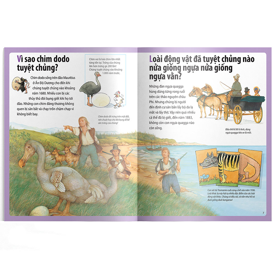 Em Muốn Biết Vì Sao Chim Dodo Tuyệt Chủng Và Những Câu Hỏi Khác Về
Các Loài Động Vật Nguy Cấp Và Đã Tuyệt Chủng