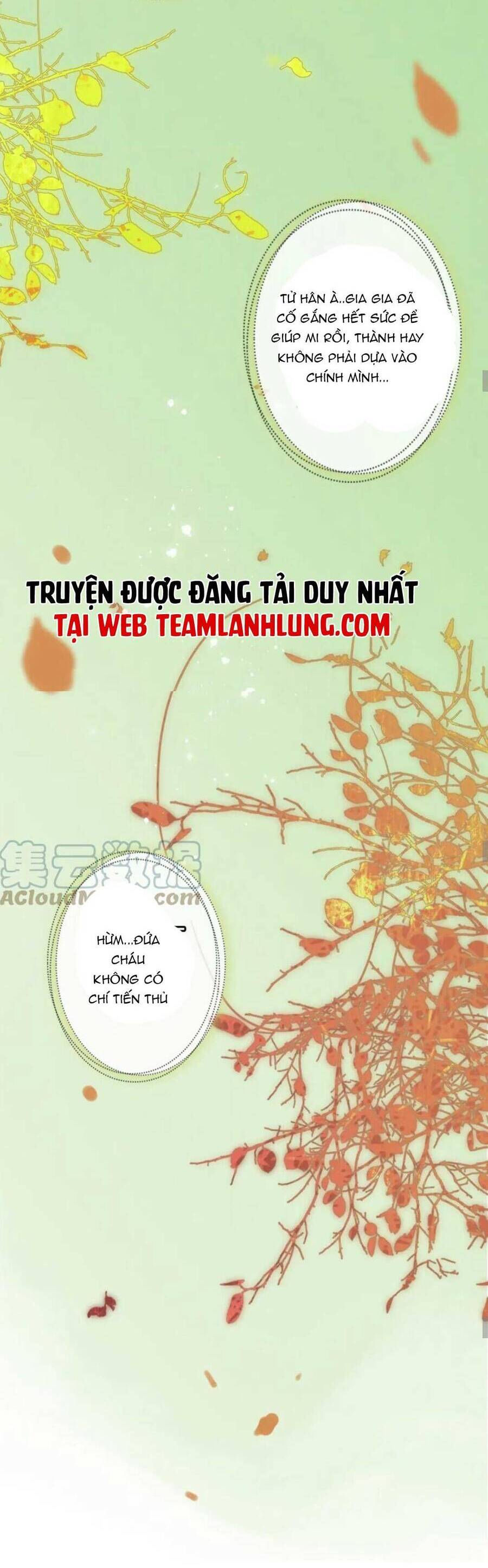 cô vợ hợp đồng bỏ trốn của tổng giám đốc chapter 485 14