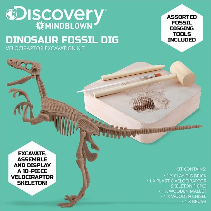 Đồ Chơi Giáo Dục STEM 1423004881 - Dinosaur Fossil Dig - Bộ Khảo Cổ Truy Tìm Xương Khủng Long Velociraptor