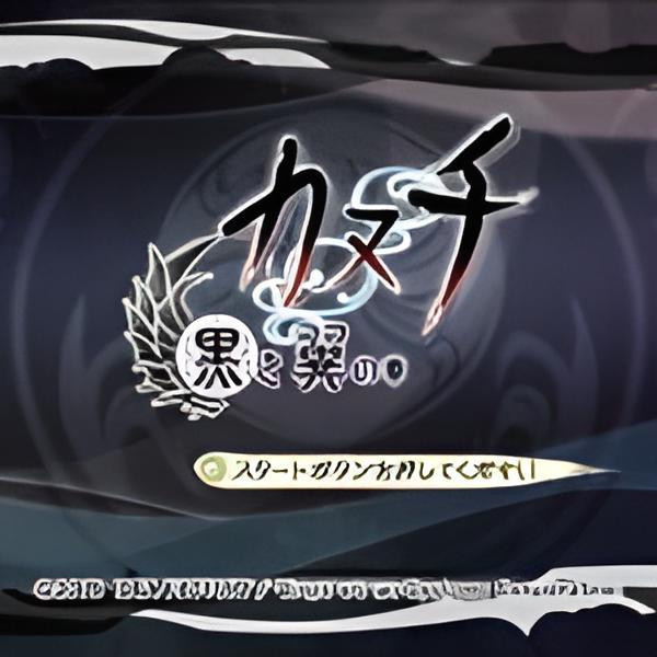 Đĩa Game Kanuchi: Kuroki Tsubasa no Shou A PS2
