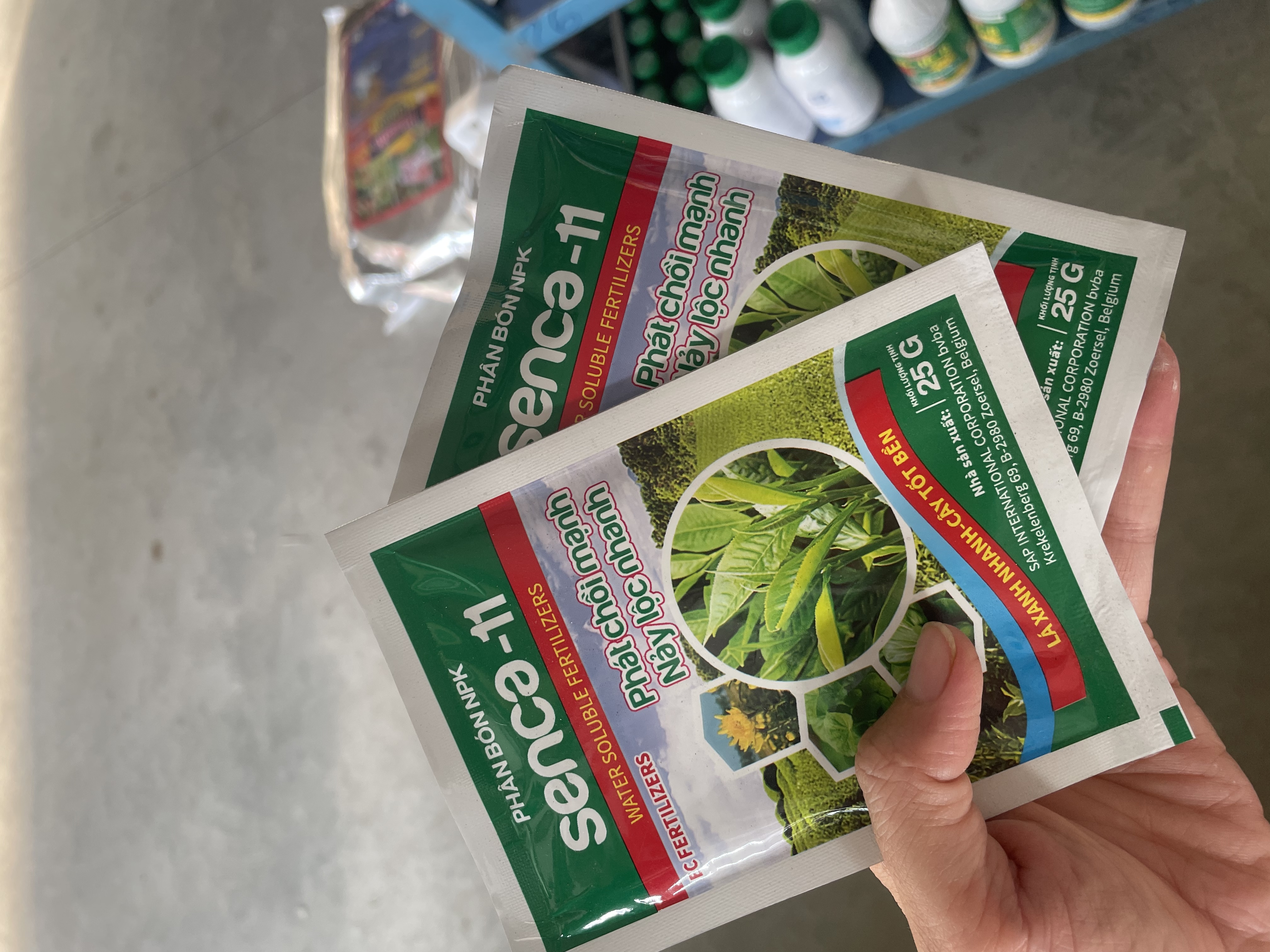 Phát chồi mạnh, nẩy lộc nhanh Senca 11