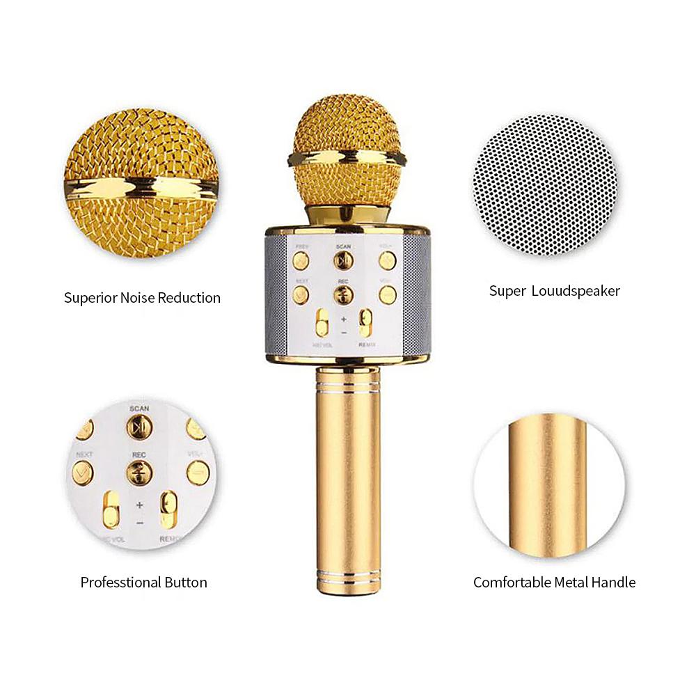 Loa Karaoke Micro không dây BT chuyên nghiệp cầm tay