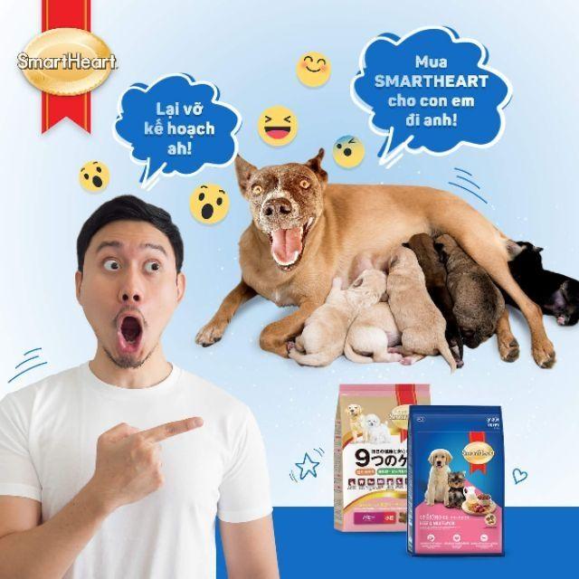 Thức ăn cho chó con smart gold cao cấp 1kg