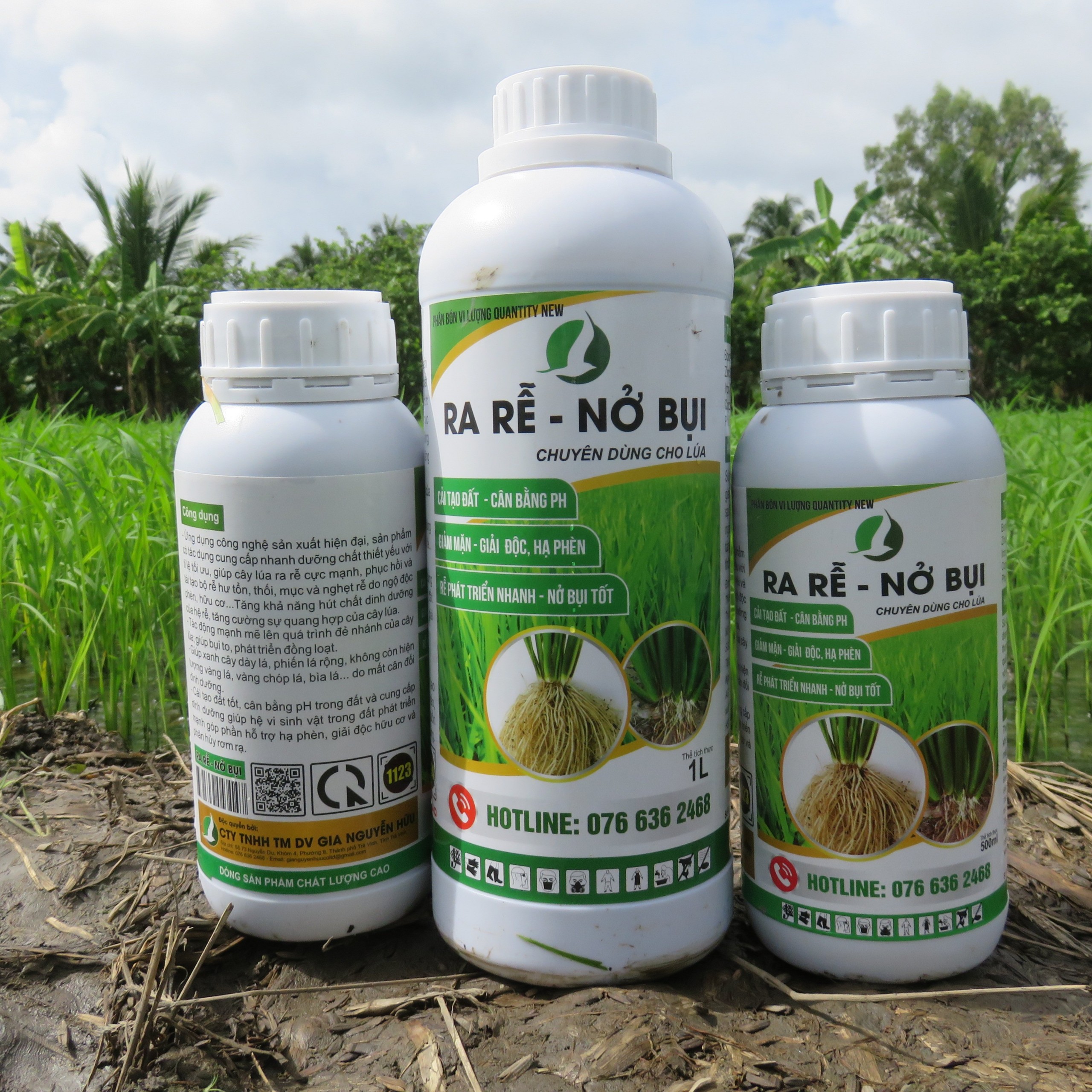 Ra rễ nở bụi - chuyên lúa giúp lúa đẻ nhánh - chai 500ml và 1L