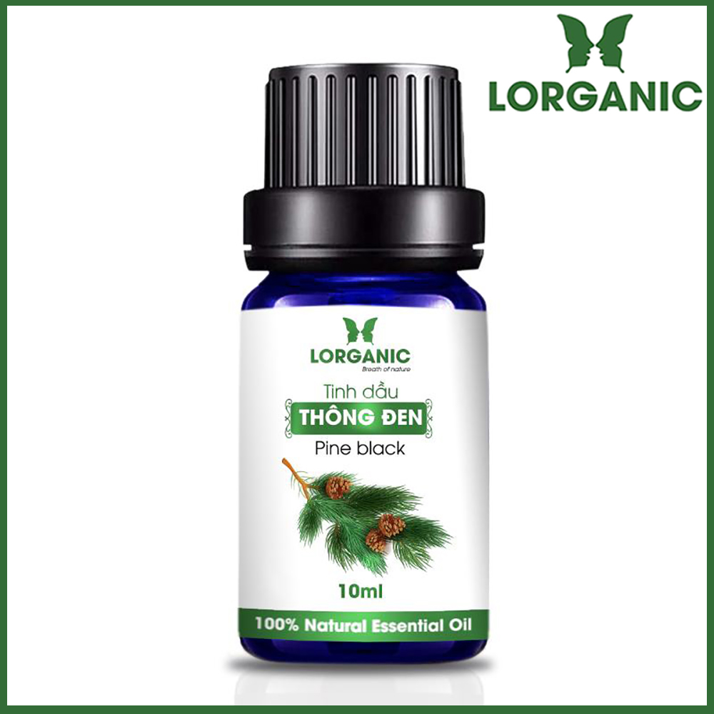 Tinh dầu gỗ thông đen Lorganic Pine black 10ml/ Hương thơm ấm nồng/ Tinh dầu thiên nhiên nguyên chất xông phòng/ Thư giãn tinh thần/ Thích hợp dùng với đèn xông và máy khuếch tán.