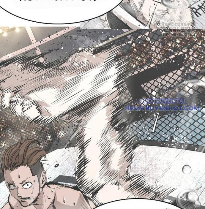 shark - cá mập chapter 353 75