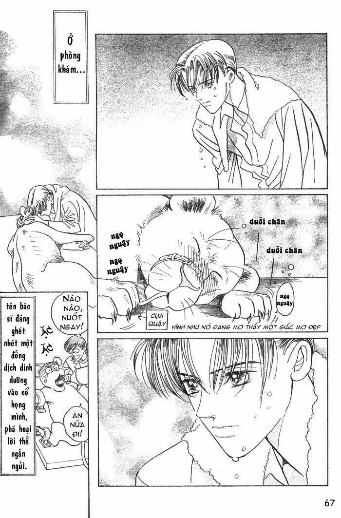 wild cats chapter 1 70