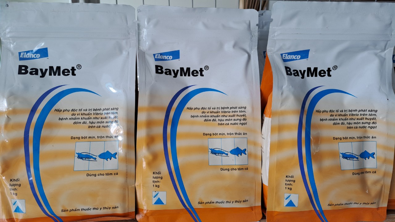 BAYMET- phát sáng do vi khuẩn vibrio trên tôm