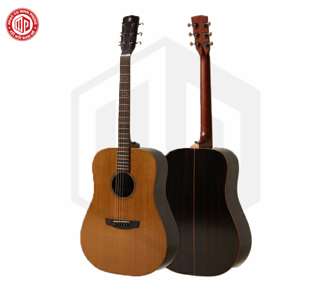 Đàn Guitar Acoustic Hex D570T - Hàng chính hãng
