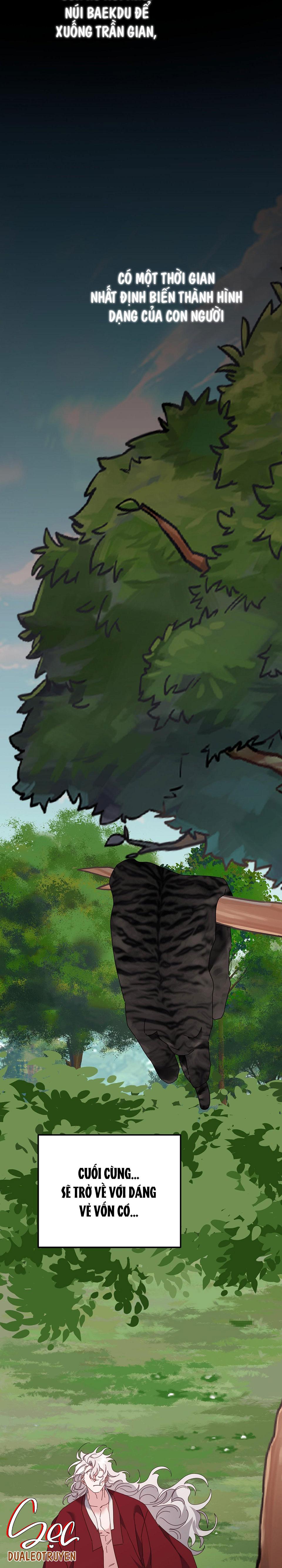 hổ trở về chapter 38 19