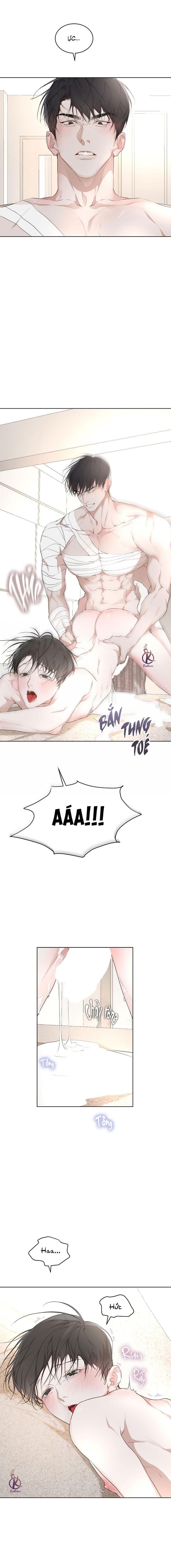hình thái khởi sinh chapter 66 12