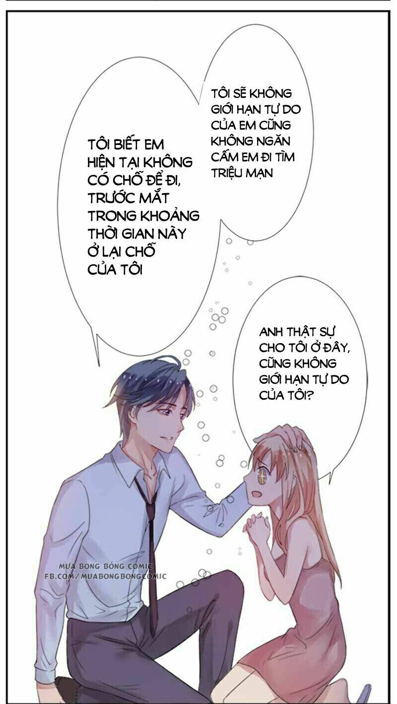 nhập cốt noãn hôn - mật sủng tiểu kiều thê chapter 2 12