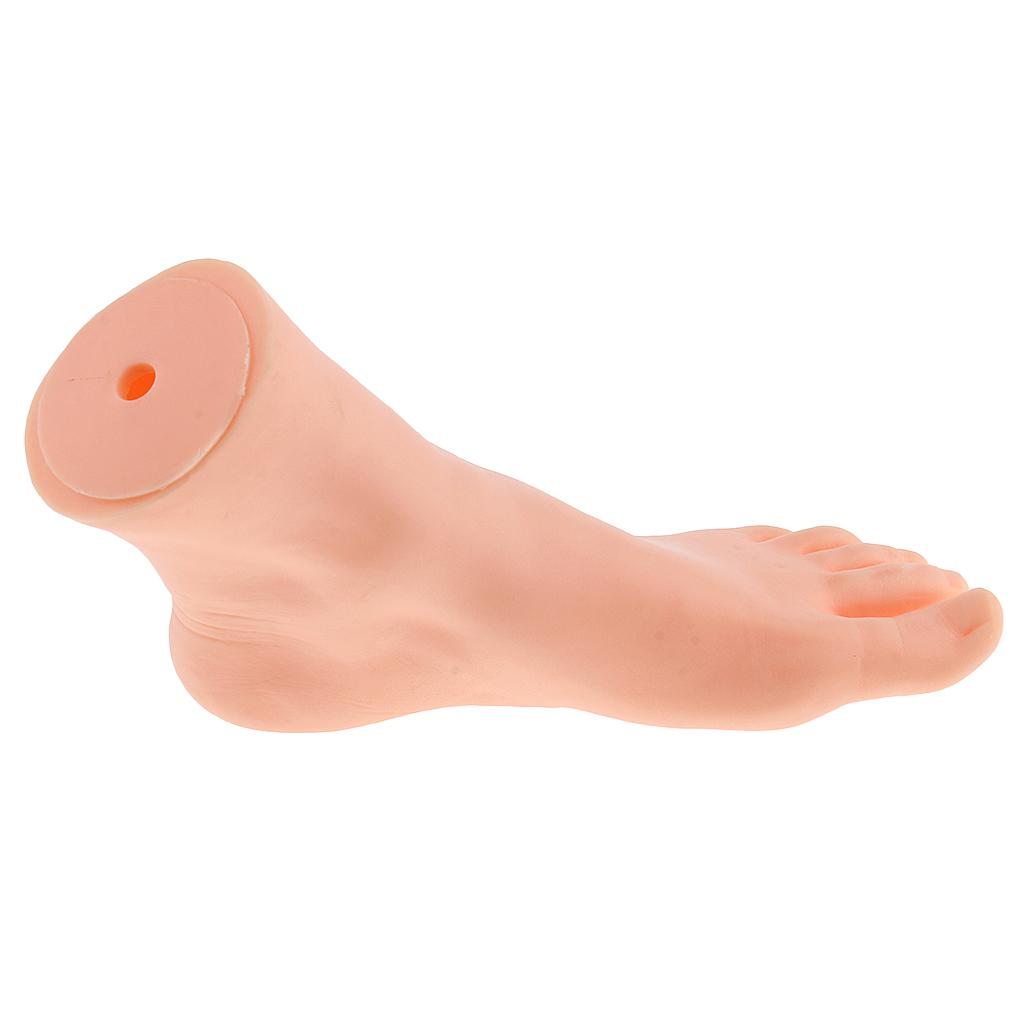 5x21.5cm Female Left Foot Mannequin Dummy Mould Sandal Shoe Sock Display Model