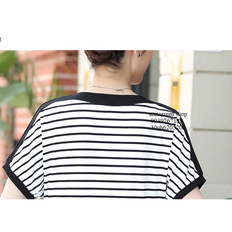 Nh620520-ÁO KIỂU KẺ SỌC TAY CÁNH DƠI