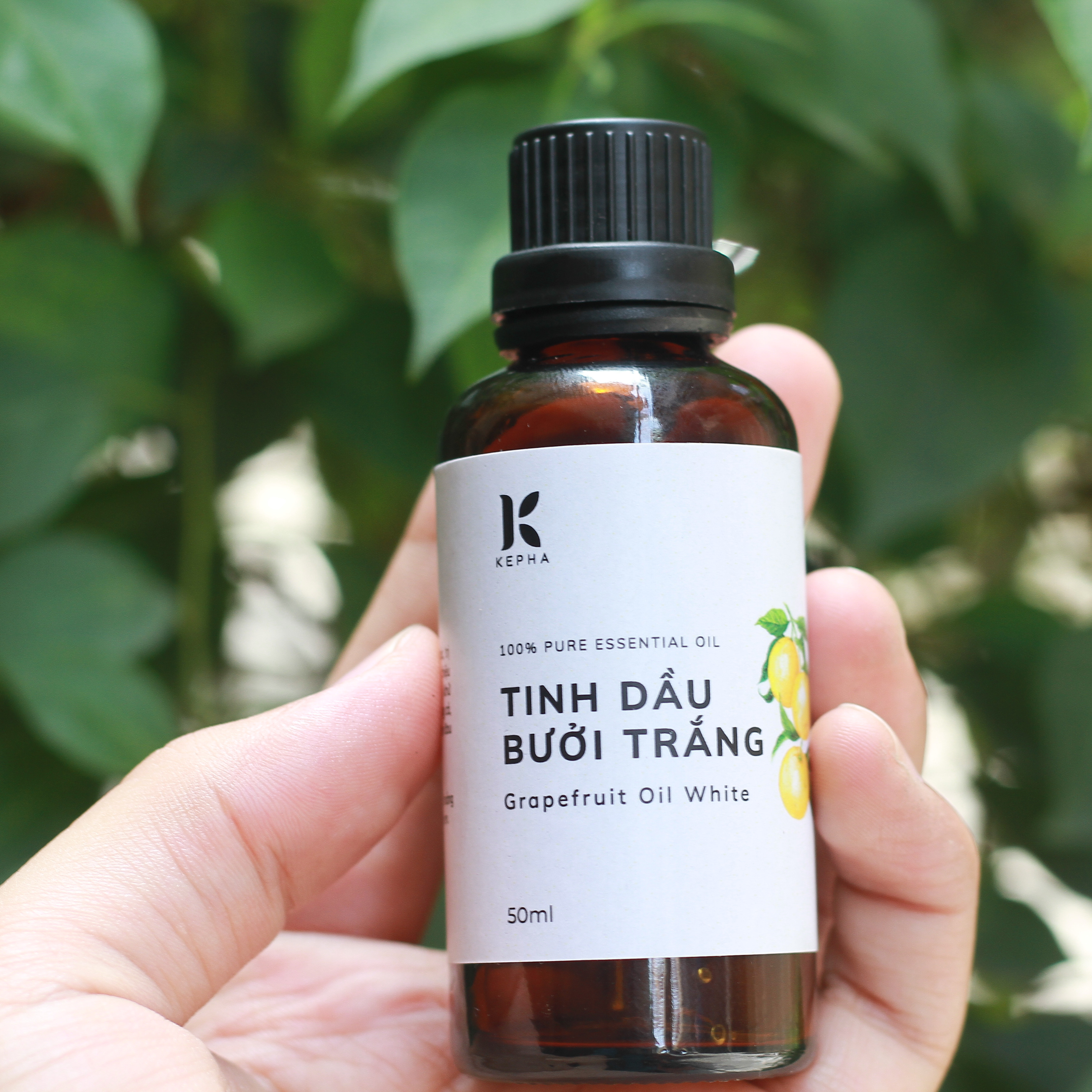 Tinh dầu Bưởi Trắng Kepha 50ml - Nguyên chất 100%, nhập khẩu trực tiếp Tây Ban Nha - Giúp làm đẹp, kích thích tóc mọc, giảm tóc rụng - Khử mùi, thư giãn, giảm stress, giúp sạch không khí