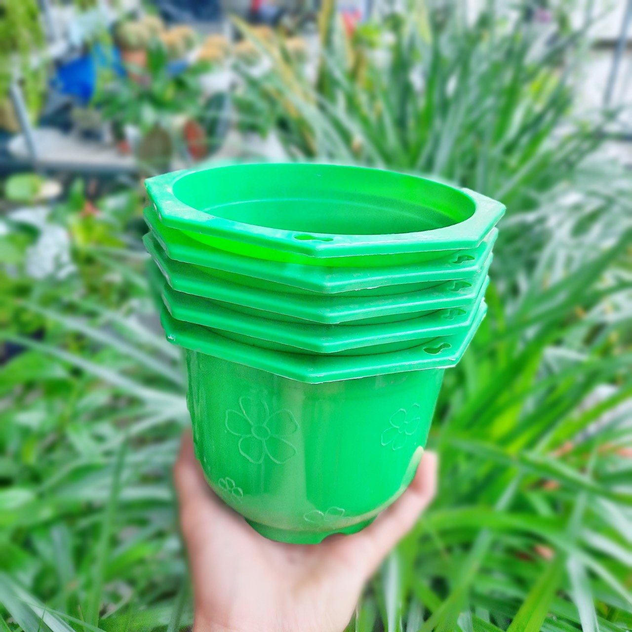 Chậu Nhựa TREO 2 size xinh xắn