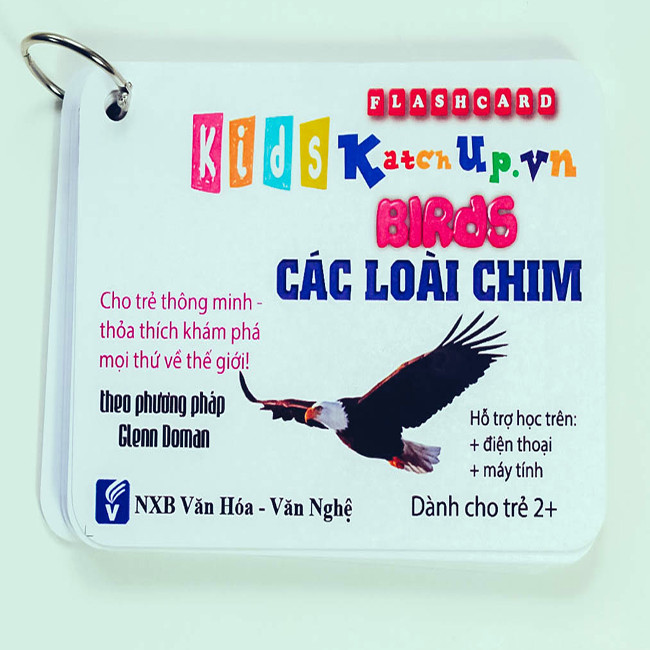 Bộ KatchUp Flashcard cho bé Tiếng Anh – Các loài chim – High Quality