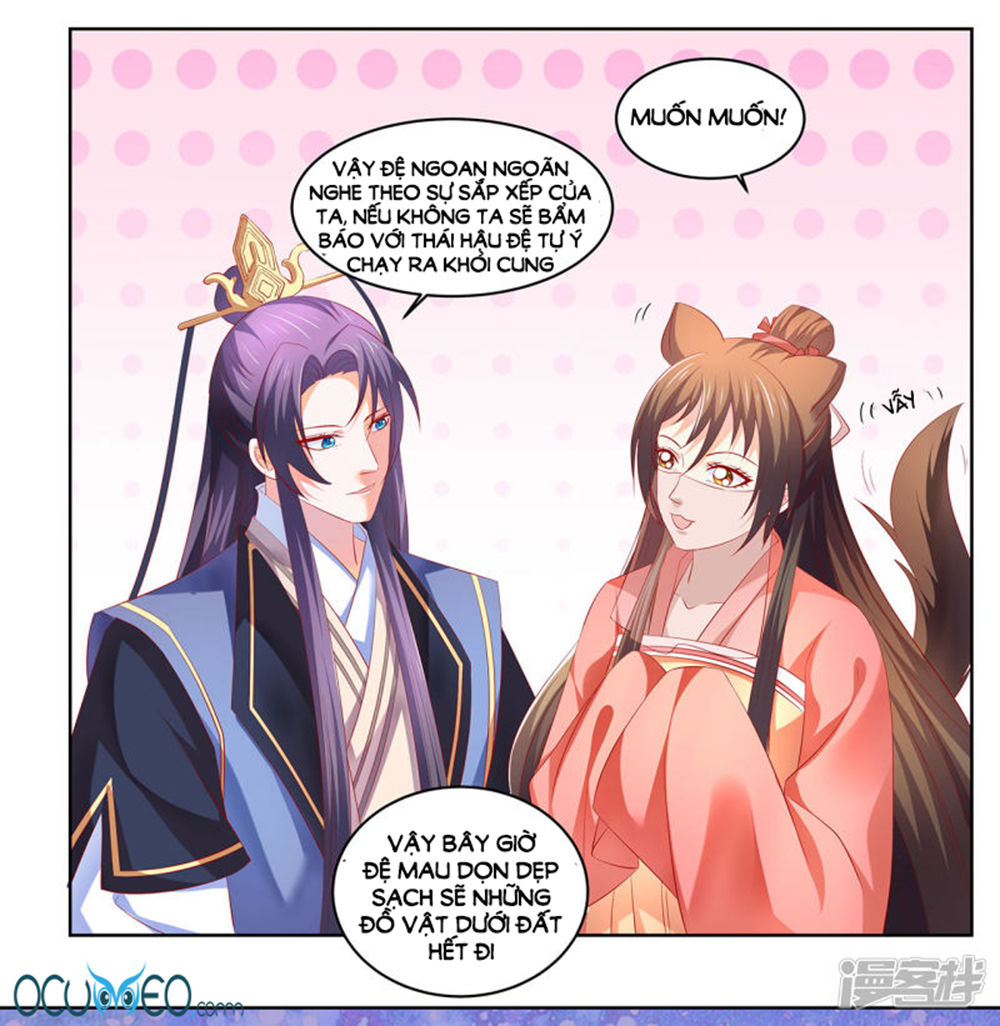 từ đây vương gia không thượng triều sớm chapter 48 7