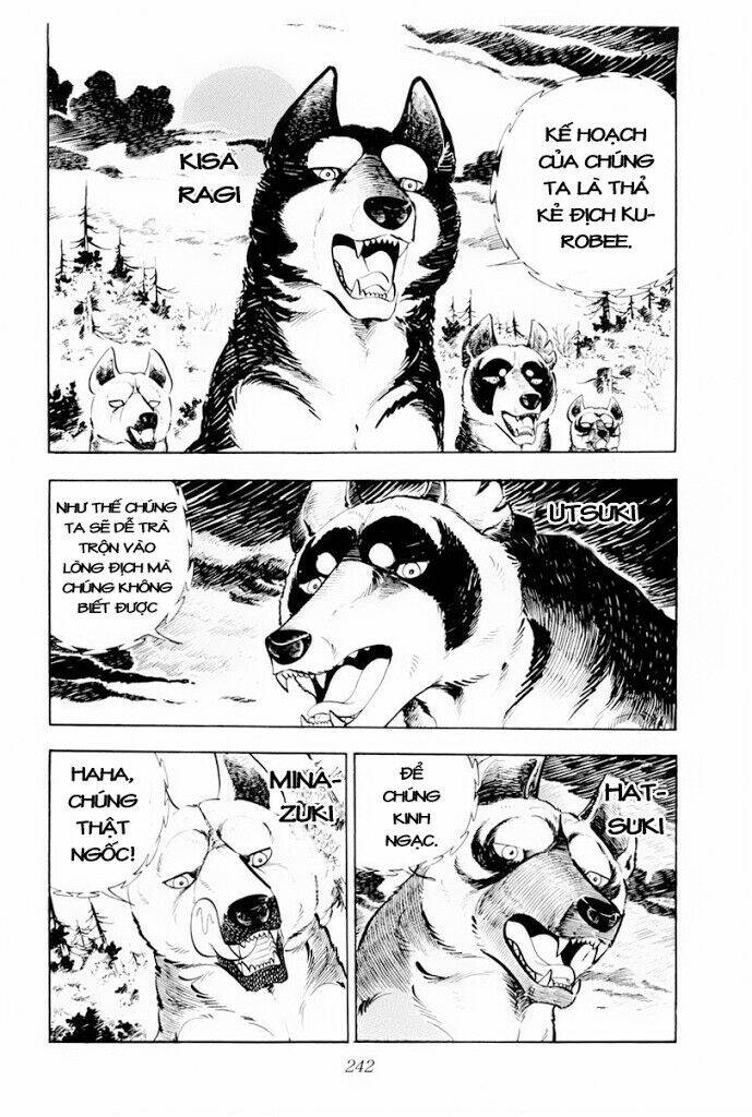 chú chó có nghĩa - ginga nagareboshi gin chapter 29.2 29