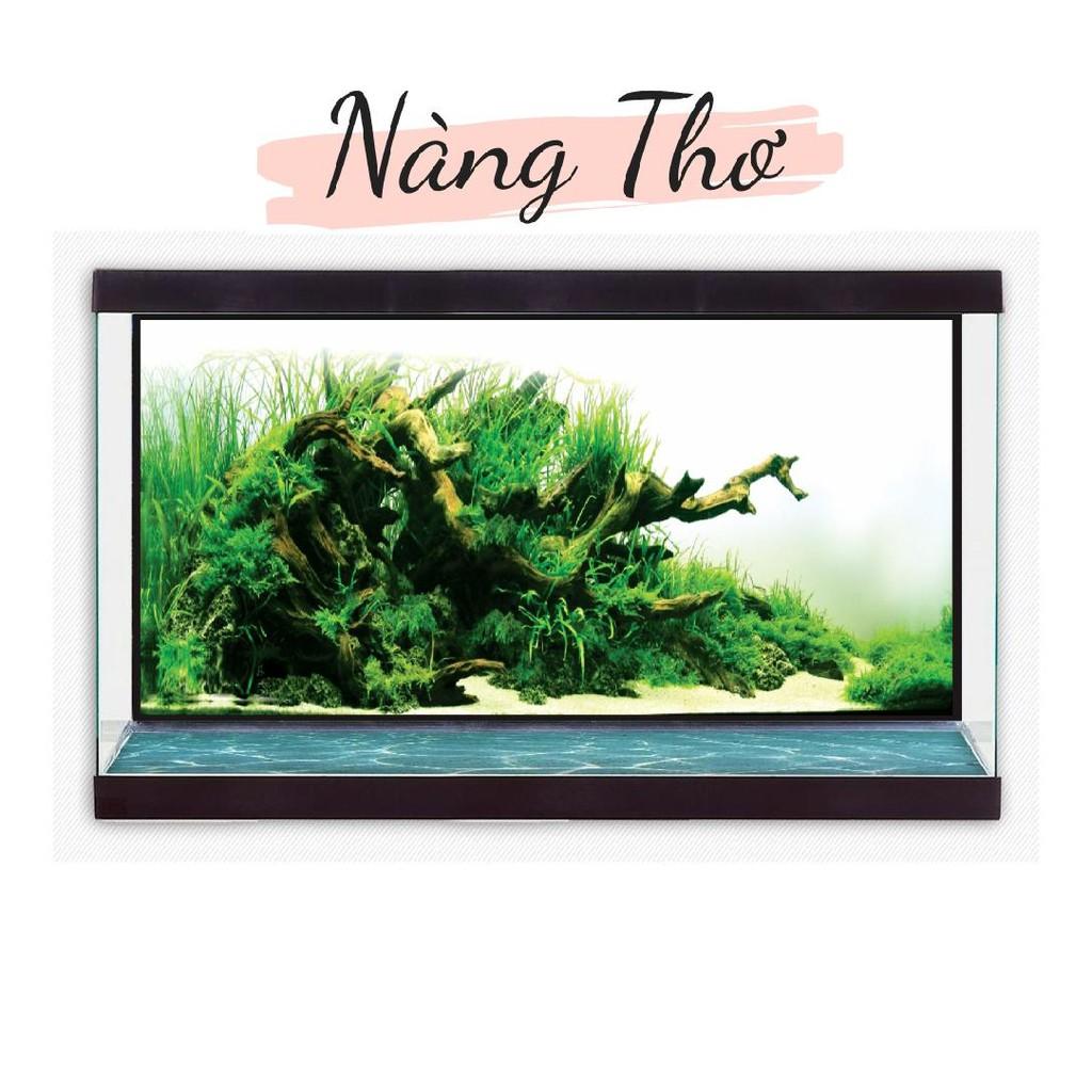 Decal dán hồ cá 088_ nhiều kích thước