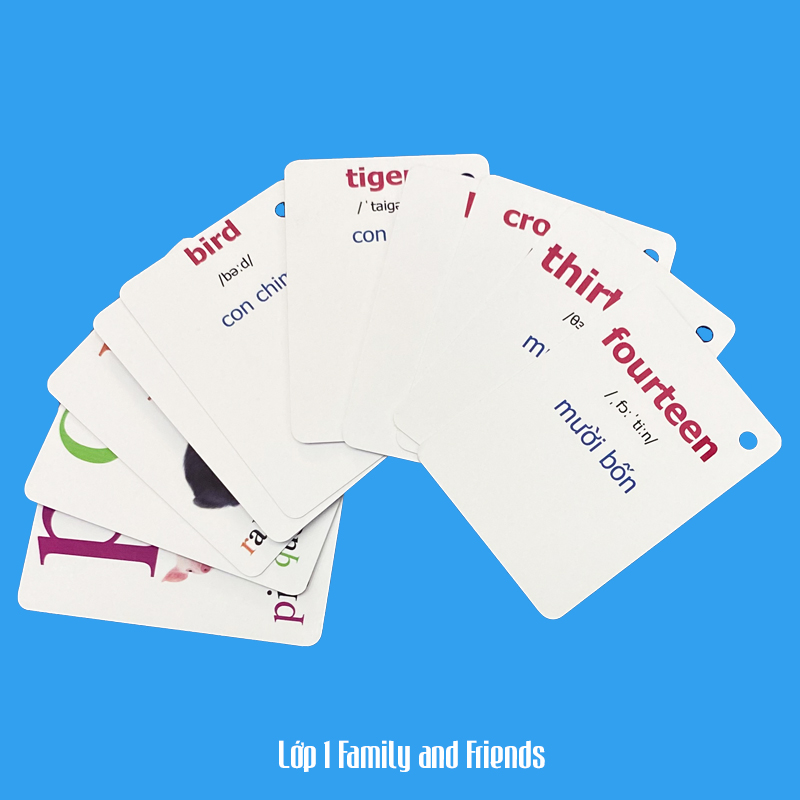 Flashcard Tiếng Anh Family and Friends lớp 1, có phát âm, hình ảnh sinh động