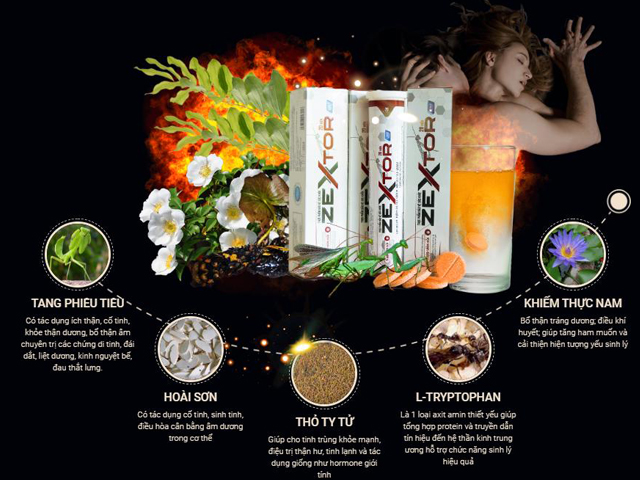 Combo 3 Hộp Viên Sủi ZexTor Tăng Cường Sinh Lực Nam Giới, Kéo Dài Thời Gian Yêu, Mang Lại Phong Độ Thời Trai Trẻ 60 Viên 1