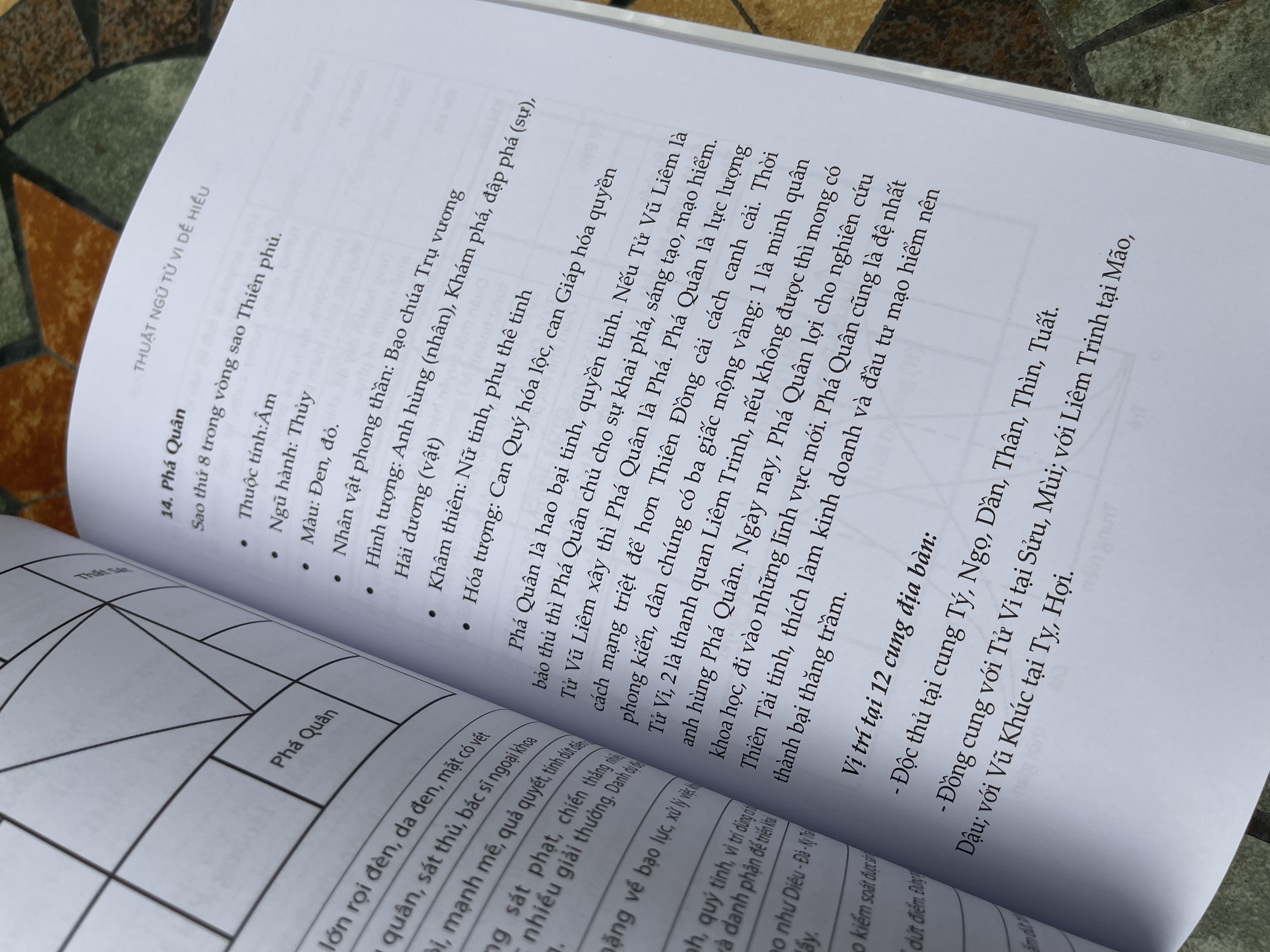 THUẬT NGỮ TỬ VI DỄ HIỂU - Alex Alpha – Thái Hà books – NXB Thế Giới