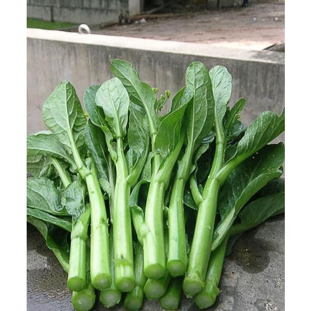 Combo 3 gói hạt giống rau cải ngồng xanh-gói 10 gram-tặng kèm gói phân bón lót